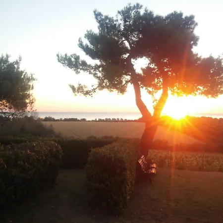 Appartamento Il Prato Sul Mare *